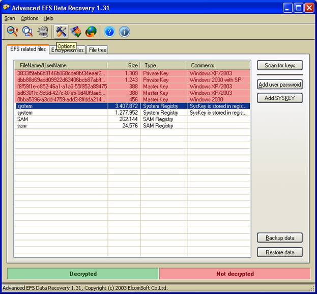 Окно программы Advanced EFS Data Recovery